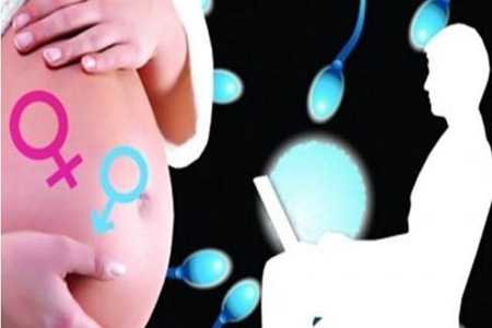 广东省中医院试管婴儿怎么样，2024真实助孕数据已说明