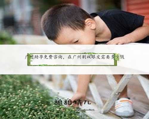 广州助孕免费咨询，在广州割双眼皮需要多少钱