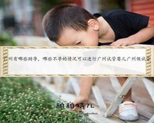 广州有哪些助孕，哪些不孕的情况可以进行广州试管婴儿广州做试管