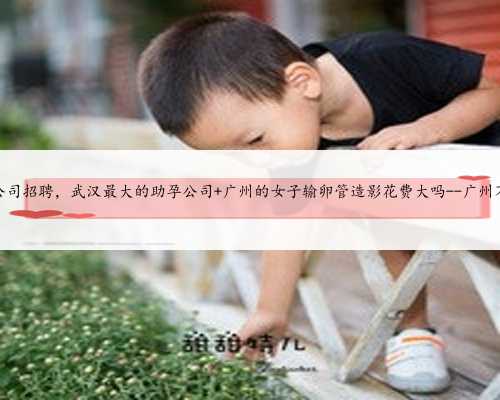 广州代怀公司招聘，武汉最大的助孕公司 广州的女子输卵管造影花费大吗--广州