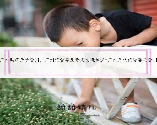 广州助孕产子费用，广州试管婴儿费用大概多少-广州三代试管婴儿费用