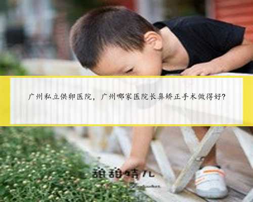 广州私立供卵医院，广州哪家医院长鼻矫正手术做得好?