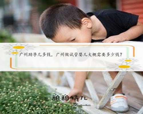 广州助孕几多钱，广州做试管婴儿大概需要多少钱？