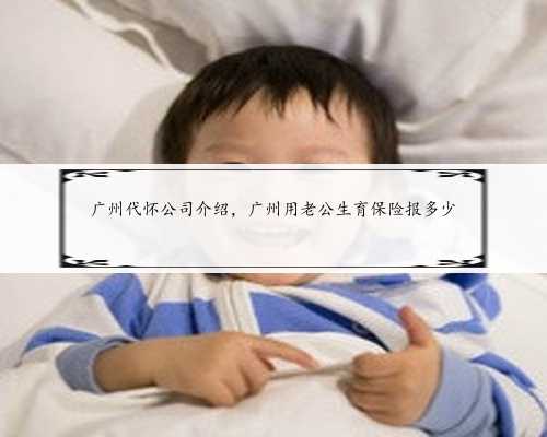 广州代怀公司介绍，广州用老公生育保险报多少
