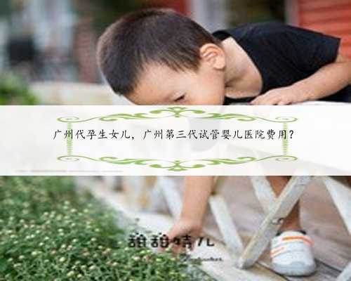 广州代孕生女儿，广州第三代试管婴儿医院费用？