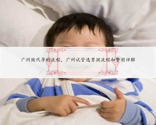 广州做代孕的流程，广州试管选男孩流程和费用详解