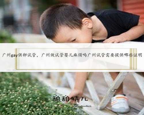 广州gay供卵试管，广州做试管婴儿麻烦吗广州试管需要提供哪些证明
