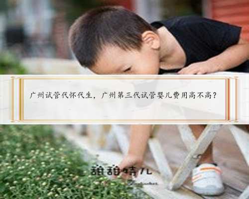 广州试管代怀代生，广州第三代试管婴儿费用高不高？