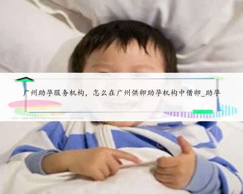 广州助孕服务机构，怎么在广州供卵助孕机构中借卵_助孕