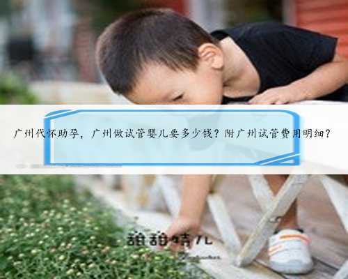 广州代怀助孕，广州做试管婴儿要多少钱？附广州试管费用明细？