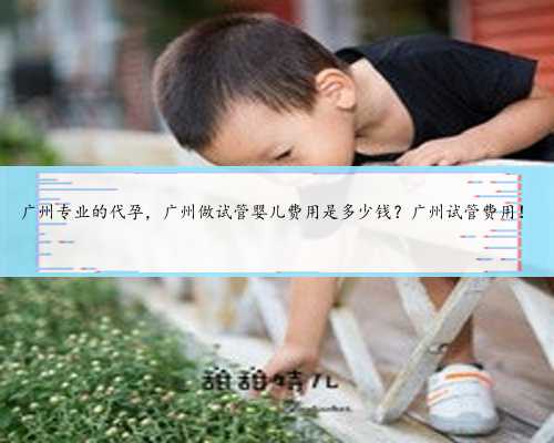 广州专业的代孕，广州做试管婴儿费用是多少钱？广州试管费用！
