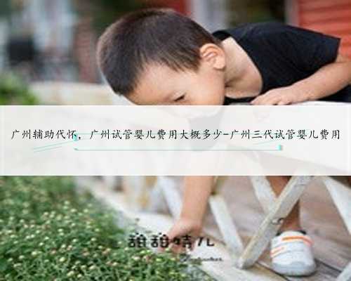广州辅助代怀，广州试管婴儿费用大概多少-广州三代试管婴儿费用