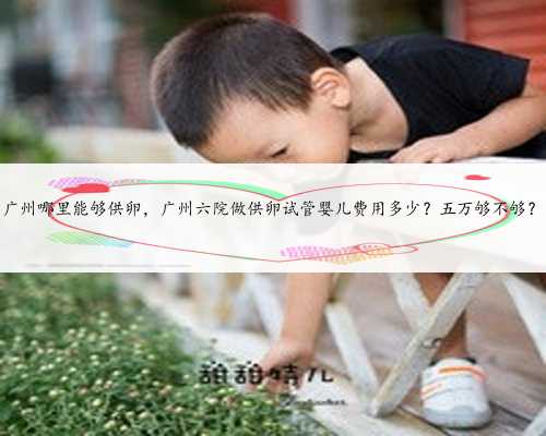 广州哪里能够供卵，广州六院做供卵试管婴儿费用多少？五万够不够？