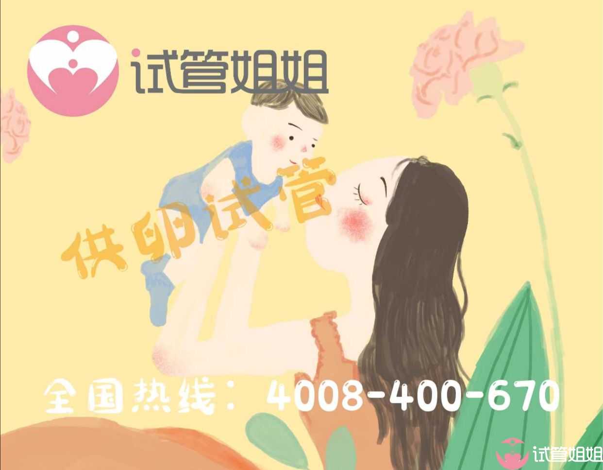 2024广州做供卵试管的费用以及成功率