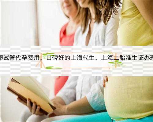 做供卵试管代孕费用，口碑好的上海代生，上海二胎准生证办理流程